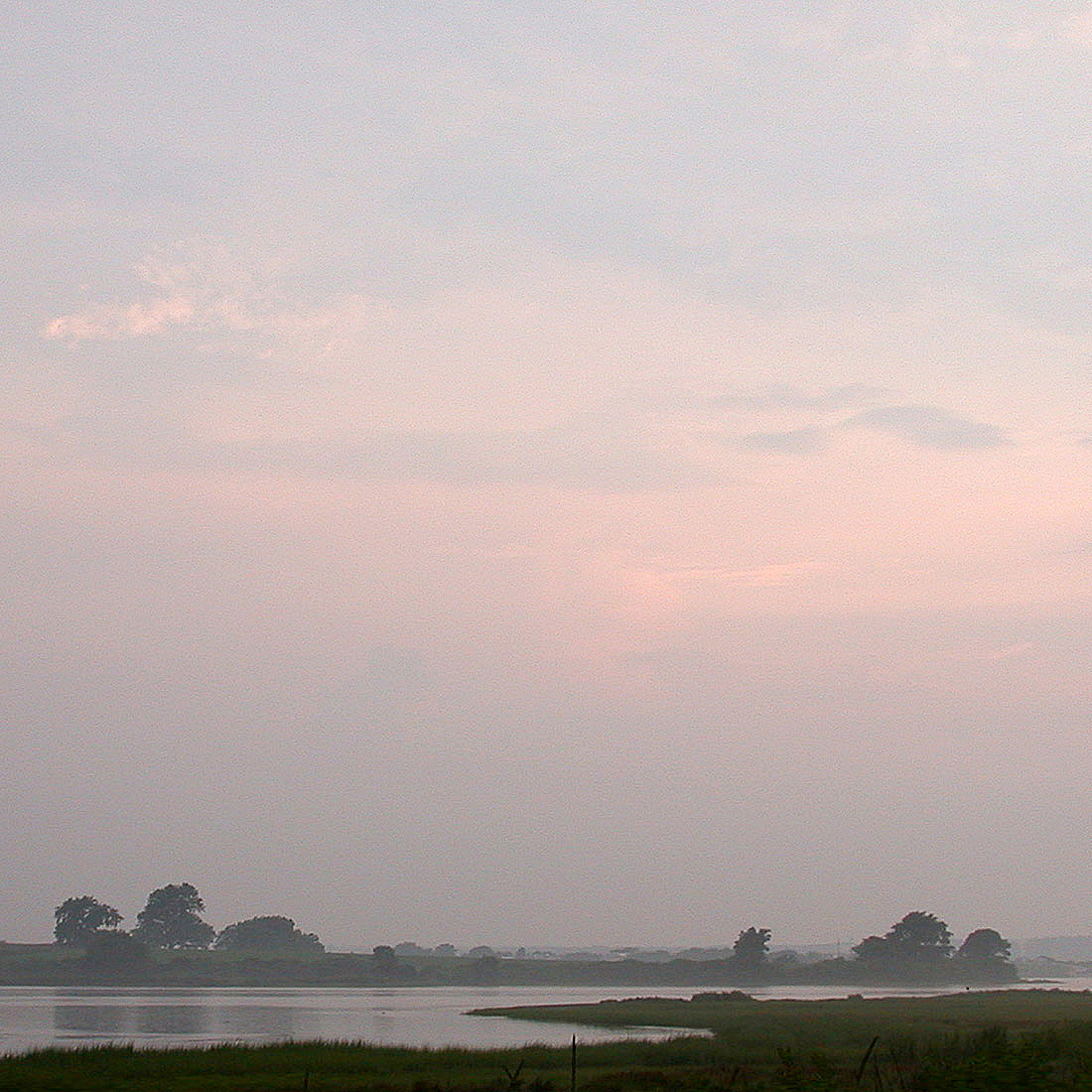 010-PinkDutchCoveWeb